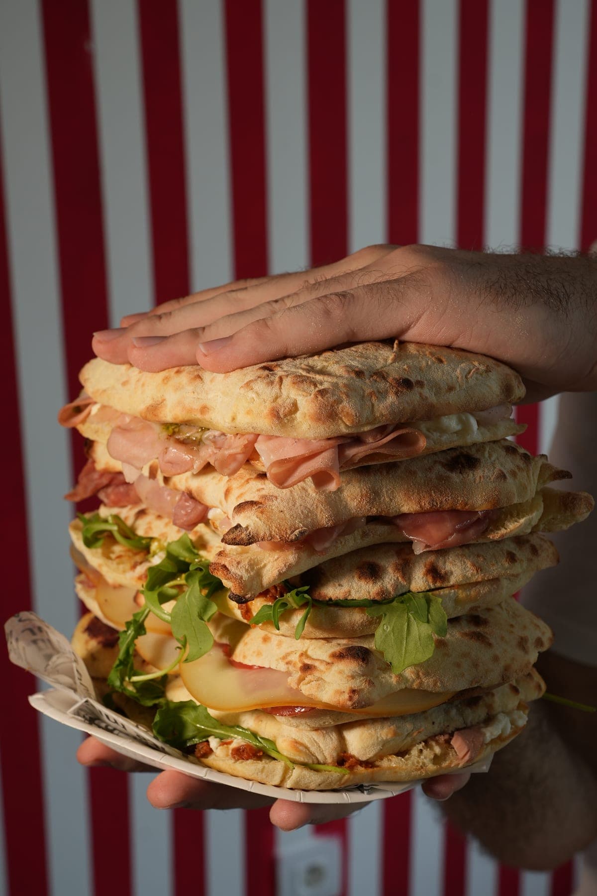 Panini pun sastojaka u ruci